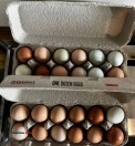 Cage free eggs - (Greenleaf)