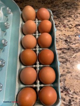FARM FRESH EGGS