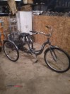 Schwinn ADULT Trikes 3 Wheeler 26' your choice (Brookville oh)